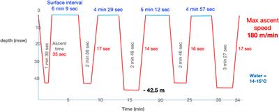 Taravana syndrome and posterior reversible encephalopathy syndrome: a microbubble hypothesis for neurological accidents in breath-hold divers